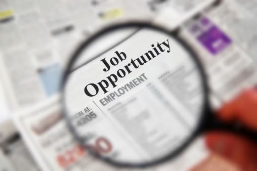How to Find Jobs in Kenya: A Practical Job Search Guide